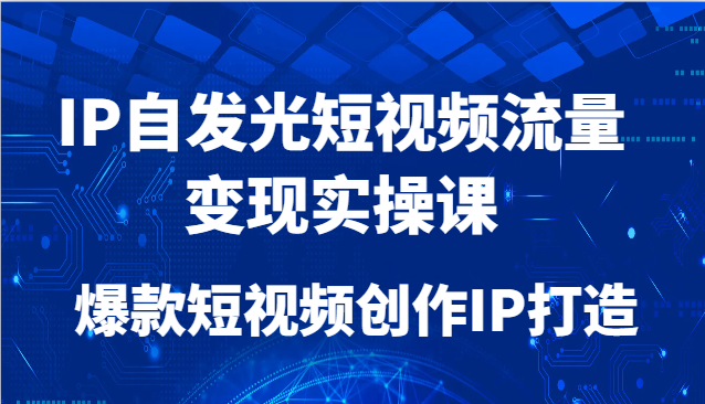 IP自发光短视频流量变现实操课,爆款短视频创作IP打造-一个公司创业项目 - 淘金吧