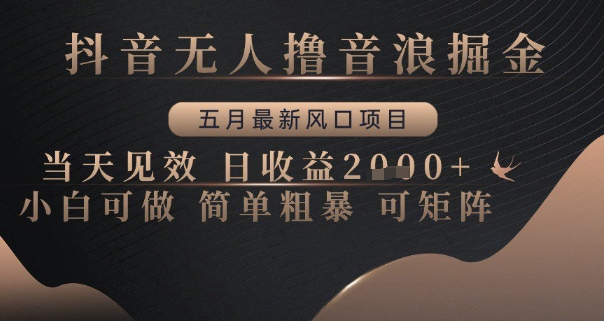 抖音无人撸音浪掘金,五月最新风口项目,当天见效,日收益多张,小白可做简单粗暴可矩阵【揭秘】-一个公司创业项目 - 淘金吧