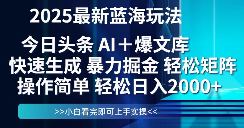 今日头条2025最新蓝海玩法，思路简单，复制粘贴，轻松实现矩阵日入2000+-一个公司创业项目 - 淘金吧