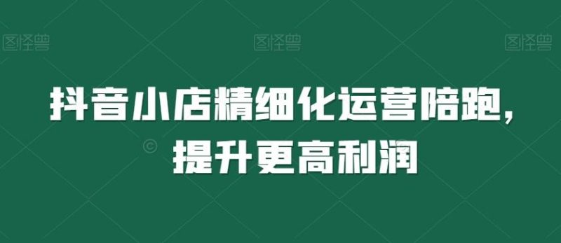 抖音小店精细化运营陪跑，提升更高利润-一个公司创业项目 - 淘金吧