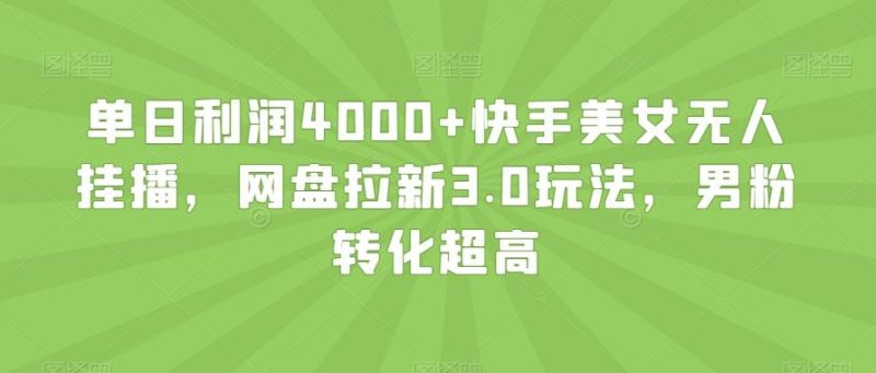 单日利润4000+快手美女无人挂播,网盘拉新3.0玩法,男粉转化超高【揭秘】-一个公司创业项目 - 淘金吧