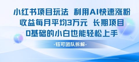 适合小白操作的小红书新项目,利用AI快速涨粉,收益每月平均1W+-一个公司创业项目 - 淘金吧