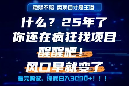 什么?25年你还在疯狂找项目做,醒醒吧,看完这些你全都懂了!【揭秘】-一个公司创业项目 - 淘金吧
