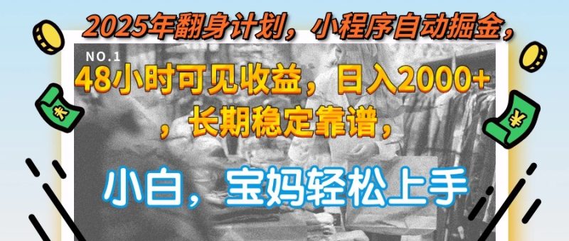 2025年翻身计划,小程序自动掘金48小时可见收益,日入2000+,长期稳定…-一个公司创业项目 - 淘金吧