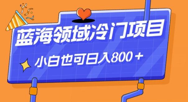 蓝海领域冷门赛道，一单39.9，日入800＋-一个公司创业项目 - 淘金吧