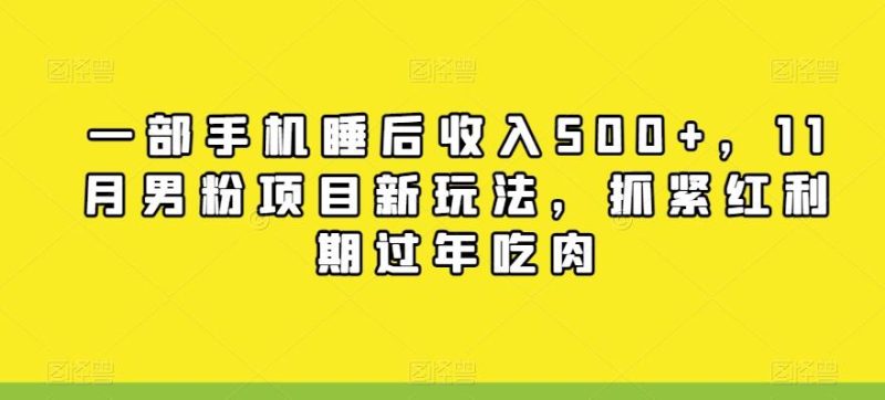 一部手机睡后收入500+,11月男粉项目新玩法,抓紧红利期过年吃肉-一个公司创业项目 - 淘金吧