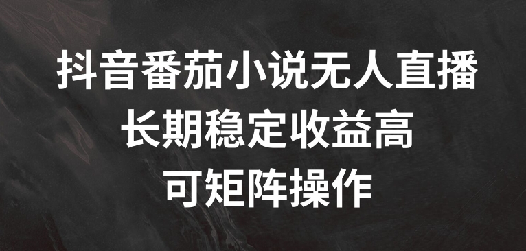 抖音番茄小说无人直播，长期稳定收益高，可矩阵操作【揭秘】-一个公司创业项目 - 淘金吧