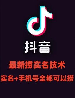 最新技术抖音捞实名+捞手机号技术，抖音直播封禁释放十名/手机号，直接替换出来!-一个公司创业项目 - 淘金吧