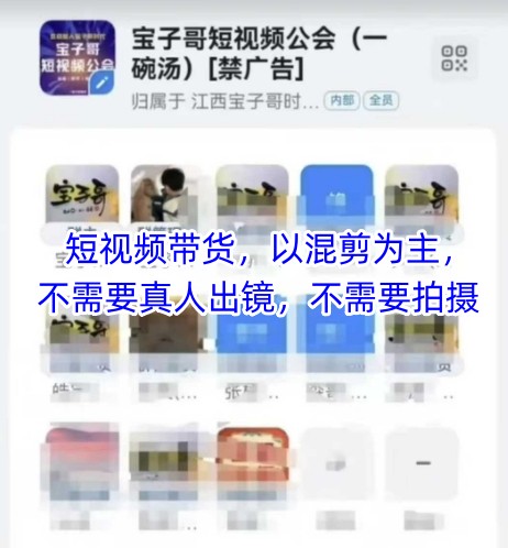 宝子哥头部团队短视频带货,以混剪为主,不需要真人出镜,不需要拍摄【更新】-一个公司创业项目 - 淘金吧