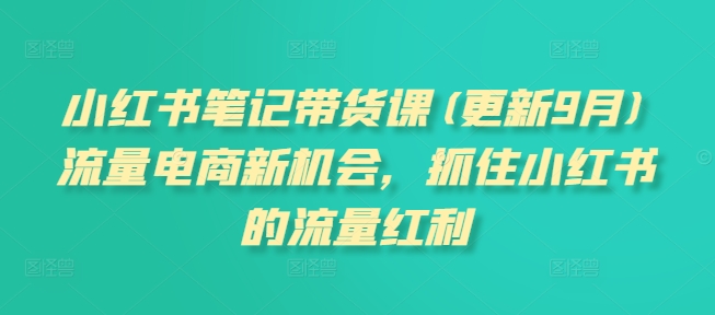 小红书笔记带货课(更新25年5月)流量电商新机会，抓住小红书的流量红利-一个公司创业项目 - 淘金吧