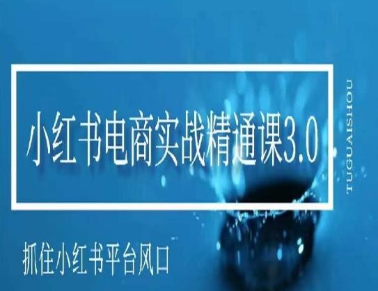 小红书电商实战精通课3.0，抓住小红书平台的风口，不错过有一个赚钱的机会-一个公司创业项目 - 淘金吧