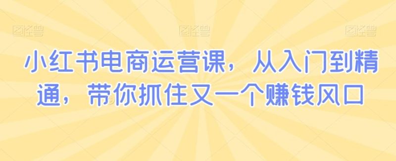 小红书电商运营课,从入门到精通,带你抓住又一个赚钱风口-一个公司创业项目 - 淘金吧