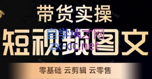 鑫哥·2024零基础短视频带货实操营-一个公司创业项目 - 淘金吧