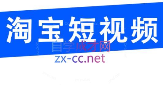 创北电商·淘宝短视频店群(更新24年2月)-一个公司创业项目 - 淘金吧
