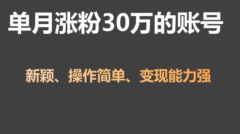 单月涨粉30万，带货收入20W，5分钟就能制作一个视频！-一个公司创业项目 - 淘金吧