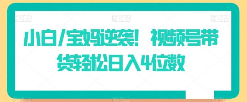 小白/宝妈逆袭!视频号带货轻松日入4位数【揭秘】-一个公司创业项目 - 淘金吧