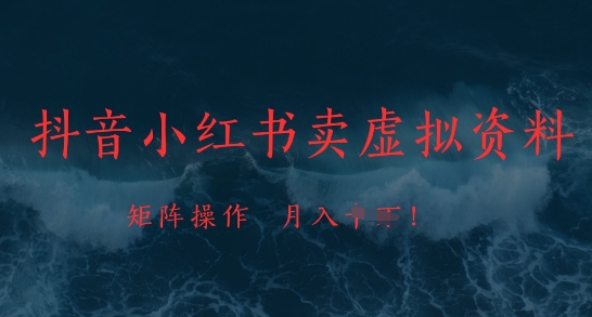 抖音小红书卖虚拟资料,市场需求一直存在,矩阵操作,月入1w+-一个公司创业项目 - 淘金吧