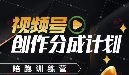 视频号创作分成计划陪跑训练营,手把手教会你如何制作视频,细水长流型项目-一个公司创业项目 - 淘金吧