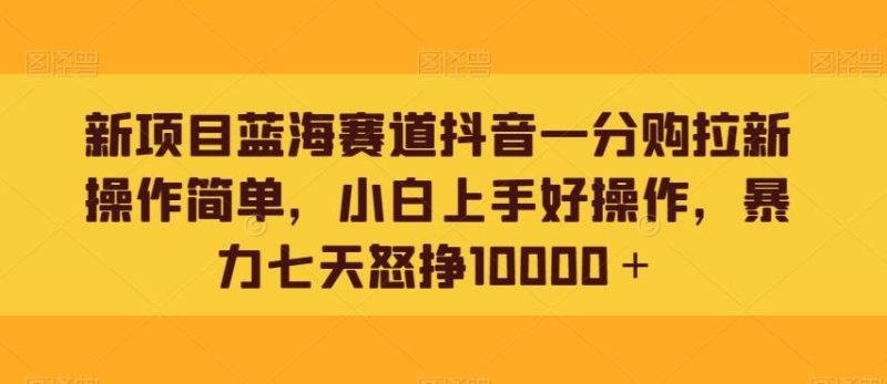 新项目蓝海赛道抖音一分购拉新操作简单,小白上手好操作,暴力七天怒挣10000+-一个公司创业项目 - 淘金吧