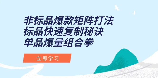 非标品爆款矩阵打法,标品快速复制秘诀,单品爆量组合拳-一个公司创业项目 - 淘金吧