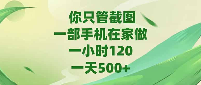 你只管截图，一部手机在家做，一小时120，-天500+-一个公司创业项目 - 淘金吧