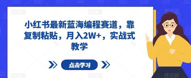 小红书最新蓝海编程赛道,靠复制粘贴,月入2W+,实战式教学【揭秘】-一个公司创业项目 - 淘金吧