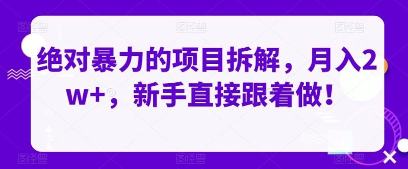 绝对暴力的项目拆解，月入2w+，新手直接跟着做！-一个公司创业项目 - 淘金吧