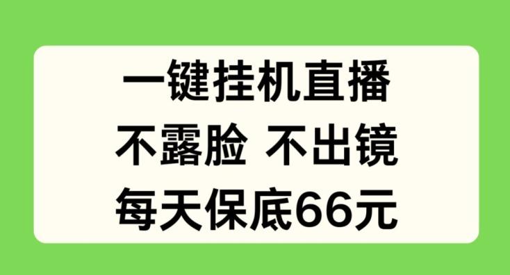 一键挂JI直播，不露脸不出境，每天保底66元【揭秘】-一个公司创业项目 - 淘金吧