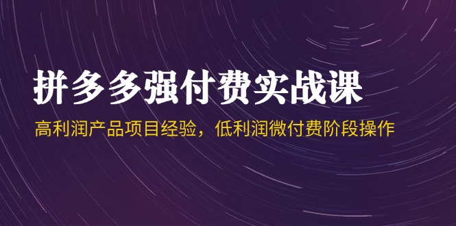拼多多强付费实战课-44期,高利润产品项目经验,低利润微付费阶段操作-一个公司创业项目 - 淘金吧