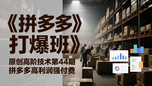 《拼多多打爆班》原创高阶技术第44期,拼多多高利润强付费-一个公司创业项目 - 淘金吧