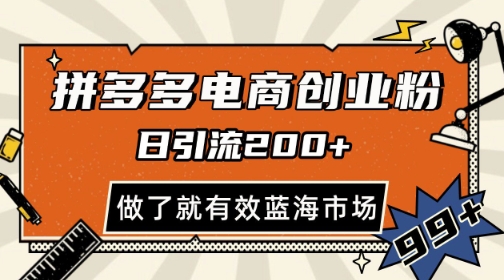 拼多多引流电商创业粉，日引200+，可矩阵放大，做了就有效【揭秘】-一个公司创业项目 - 淘金吧