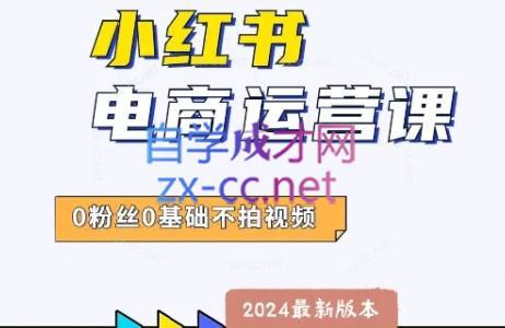 达哥·小红书电商运营(2024版)-一个公司创业项目 - 淘金吧