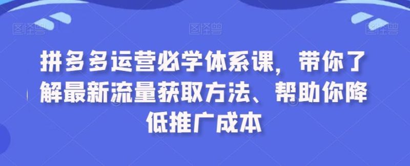 拼多多运营必学体系课,带你了解最新流量获取方法、帮助你降低推广成本-一个公司创业项目 - 淘金吧