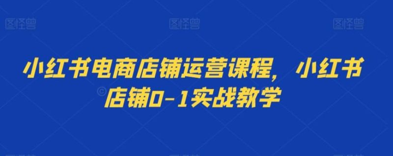 小红书电商店铺运营课程,小红书店铺0-1实战教学-一个公司创业项目 - 淘金吧