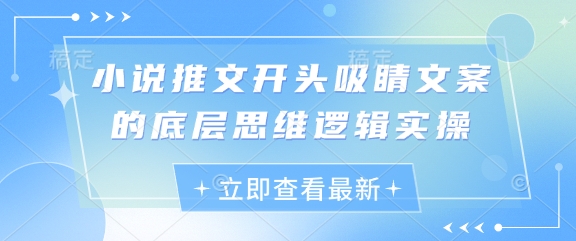 小说推文开头吸睛文案的底层思维逻辑实操-一个公司创业项目 - 淘金吧
