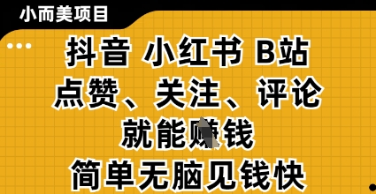 小而美的项目，抖音小红书B站视频点赞、关注、评论就能挣钱，简单无脑立见收益，妥妥的零撸项目【揭秘】-一个公司创业项目 - 淘金吧