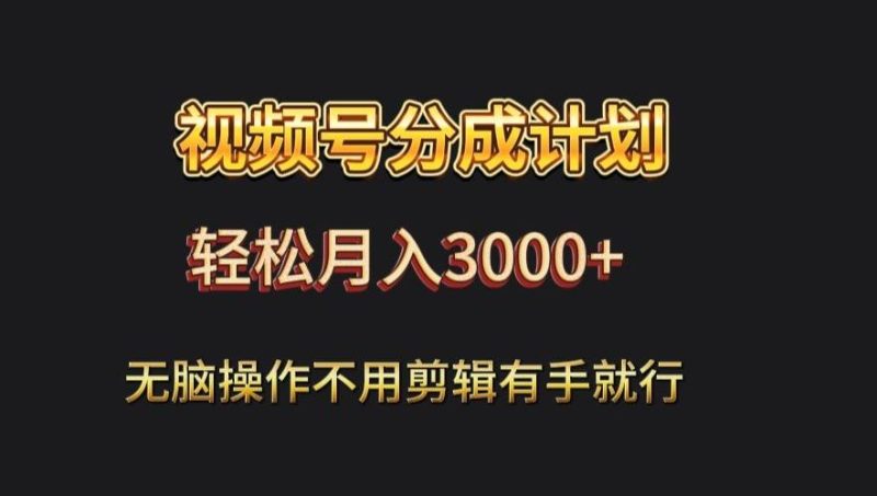 视频号流量分成，不用剪辑，有手就行，轻松月入2000+-一个公司创业项目 - 淘金吧