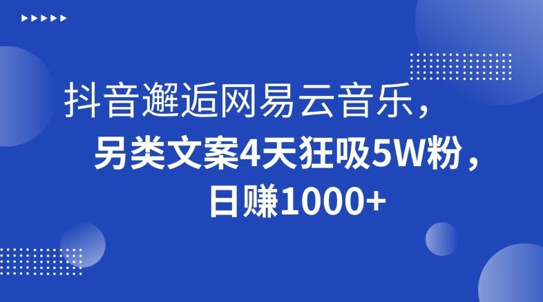 抖音邂逅网易云音乐，另类文案4天狂吸5W粉，日赚1000+【揭秘】-一个公司创业项目 - 淘金吧
