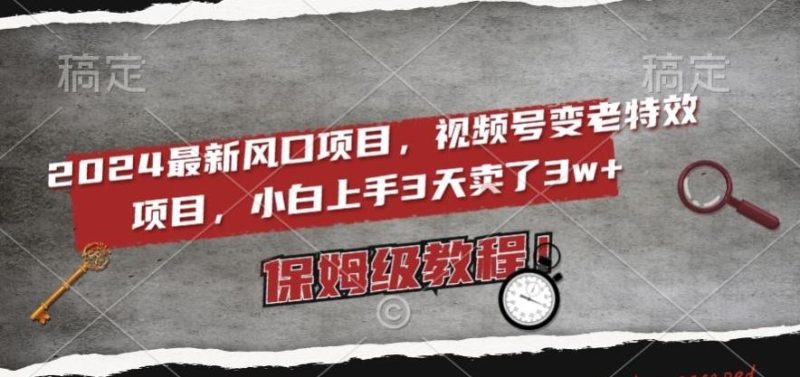 2024最新风口项目,视频号变老特效项目,电脑小白上手3天卖了3w+,保姆级教程【揭秘】-一个公司创业项目 - 淘金吧