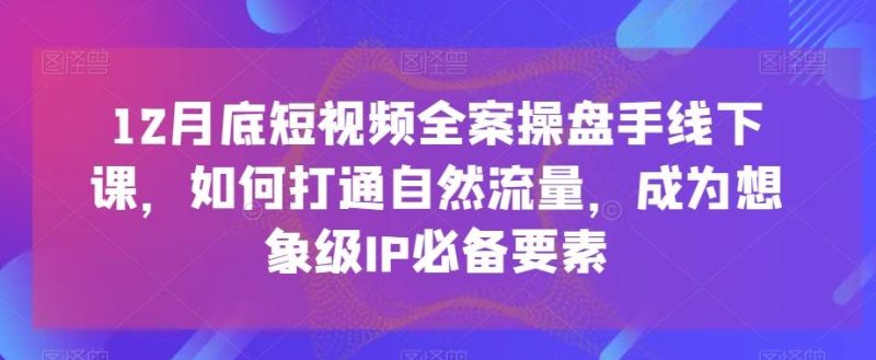 12月底短视频全案操盘手线下课,如何打通自然流量,成为想象级IP必备要素-一个公司创业项目 - 淘金吧