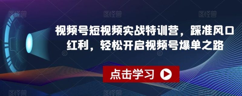视频号短视频实战特训营,踩准风口红利,轻松开启视频号爆单之路-一个公司创业项目 - 淘金吧