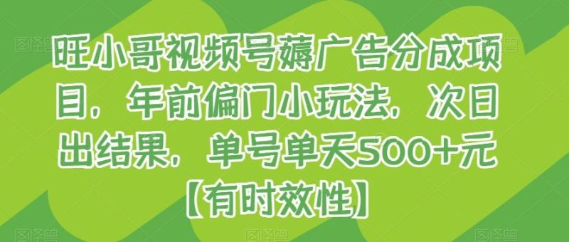 旺小哥视频号薅广告分成项目,年前偏门小玩法,次日出结果,单号单天500+元【有时效性】-一个公司创业项目 - 淘金吧