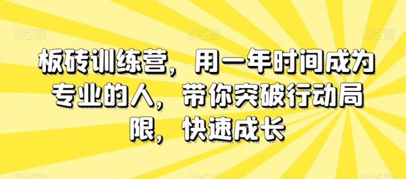 板砖训练营，用一年时间成为专业的人，带你突破行动局限，快速成长-一个公司创业项目 - 淘金吧