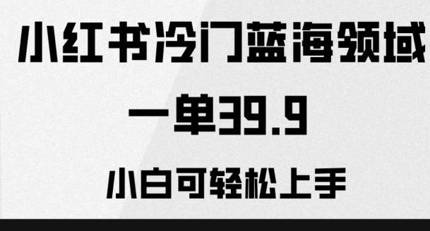 小红书冷门蓝海领域，一单39.9，小白可轻松上手-一个公司创业项目 - 淘金吧