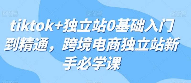 tiktok+独立站0基础入门到精通,跨境电商独立站新手必学课-一个公司创业项目 - 淘金吧