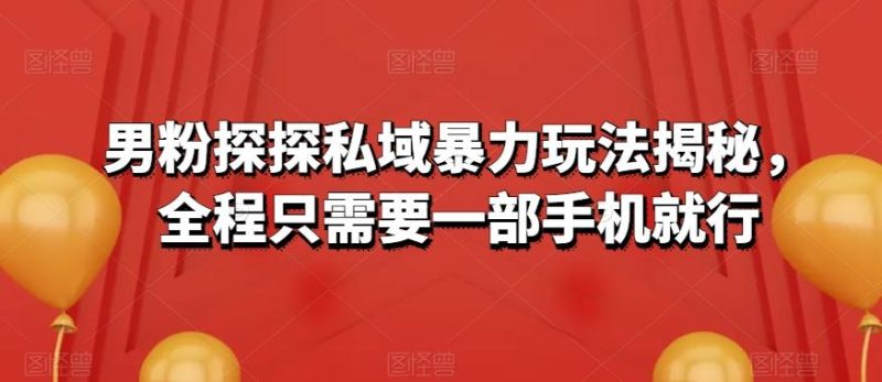男粉探探私域暴力玩法揭秘,全程只需要一部手机就行-一个公司创业项目 - 淘金吧