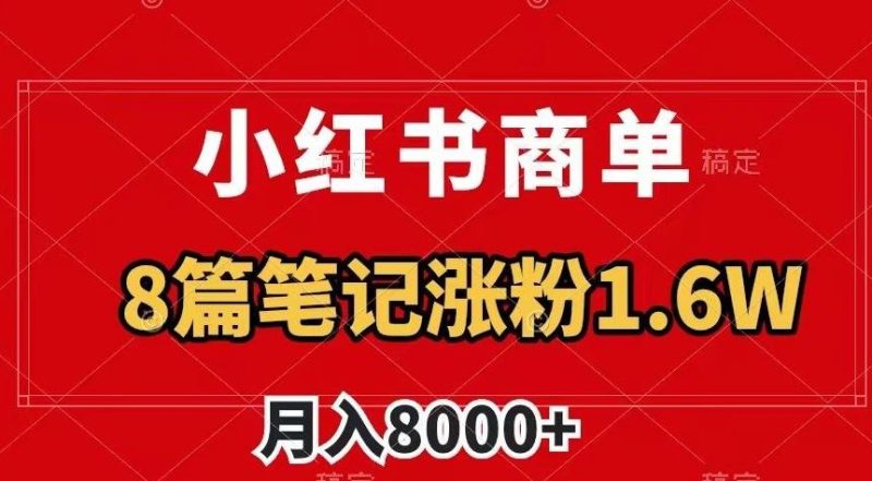 小红书商单最新玩法，8篇笔记涨粉1.6w，作品制作简单，月入8000+【揭秘】-一个公司创业项目 - 淘金吧