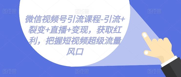 微信视频号引流课程-引流+裂变+直播+变现，获取红利，把握短视频超级流量风口-一个公司创业项目 - 淘金吧