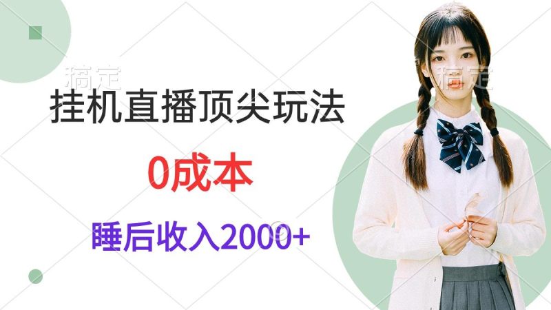 (9715期)挂机直播顶尖玩法，睡后日收入2000+、0成本，视频教学-一个公司创业项目 - 淘金吧