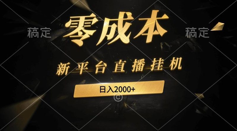 (9841期)新平台直播挂机最新玩法，0成本，不违规，日入2000+-一个公司创业项目 - 淘金吧